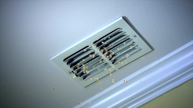 Best Air Duct Cleaning Near Me  in San Felipe Pueblo, NM