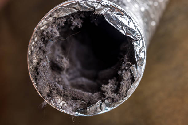 Best Ductwork Cleaning Services  in San Felipe Pueblo, NM